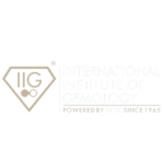 Education Partner IIG